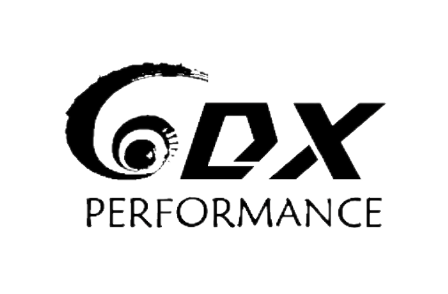 GDX Performance